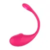 Comércio Exterior Novo Girino Controle Remoto App Vibratório Ovo Feminino Choque Forte Dispositivo de Masturbação Brinquedos Sexuais para Adultos Fabricante Atacado