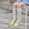Calcetines de Verano Finos para Bebé, Calcetines Altos hasta la Rodilla con Protección contra Mosquitos, Calcetines de Media Pantorrilla para Bebé Niña, Calcetines de Algodón con Encaje, Estilosos de Princesa