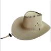 Chapéu de Cowboy Ocidental Estilo Novo 2026 para Homens e Mulheres, Chapéu de Sol para Viagem ao Ar Livre na Primavera e Verão, Chapéu de Jazz Simples e Versátil