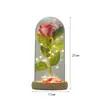 Nuevo regalo de vacaciones transfronterizo: adorno de flor eterna, lámpara decorativa de escritorio creativa de flor de rosa en cúpula de cristal, venta al por mayor