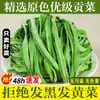 Verduras Premium Auténticas de Granja, Verduras Deshidratadas para Comidas, Alta Calidad, Sin Aditivos, Verduras Frescas Deshidratadas, Especial para Hot Pot