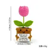 Pacote de Emoticons de Cartão Segurado Boneca de Crochê Acabada Feita à Mão Transfronteiriça Amazon Enfeites de Mesa de Planta em Vaso Simulada de Lã Crochê