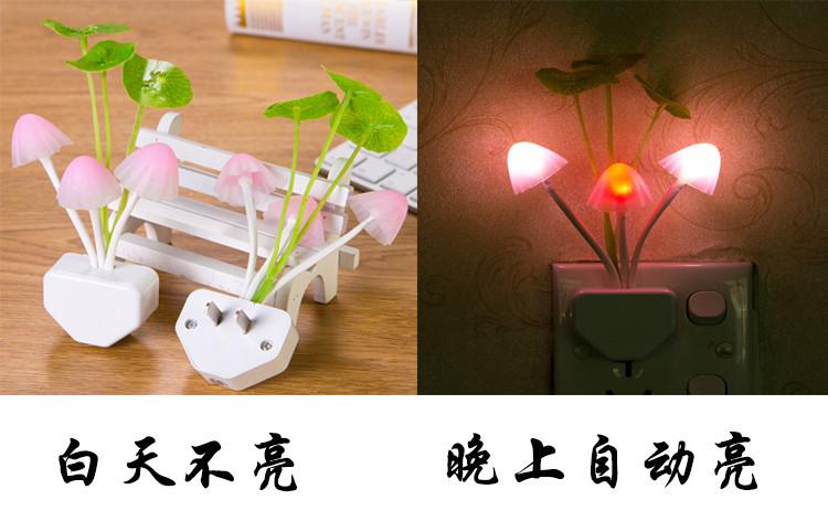 三角荷叶.jpg