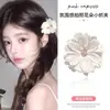 Presilha de Cabelo Colorida com Flor Estilo Doce de Feriado para Mulheres 2026 Nova Presilha de Cabelo de Flor de Praia Super Fada Flor de Cabelo para Franja