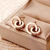 23 Aretes nuevos creativos de Diamante Romano Europeo y Americano, aretes de acero de titanio oro rosa para mujer, aretes populares de doble aro, joyería