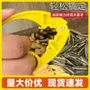 Ferramenta Multifuncional para Abrir e Descascar Sementes de Girassol, Sementes de Melancia, Sementes de Abóbora e Pinhões; um Gadget Rápido e Fácil para Quebrar Sementes