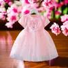 Meninas Elsa Princesa Vestido Verão 2024 Novo Bebê Vestido Infantil Elegante Elsa Verão Vestido Infantil