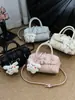 Bolso de Mano Pequeño Sencillo Shuai Mi para Mujer, Bolso Cruzado de Moda Nueva Primavera 2026, Bolso Tipo Almohada Elegante y Moderno