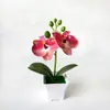 Planta em Vaso Artificial Popular Transfronteiriça de Orquídea Phalaenopsis com 2 Flores para Decoração de Casa, Pátio e Jardim, Planta Verde Artificial, Bonsai, Pequeno Ornamento