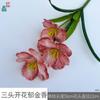 Tulipa Flor de Três Pétalas Duas Folhas Tulipa Florindo Cinco Flores Decoração de Sala de Estar em Casa Flor Artificial Flor de Casamento Obra de Arte Flor de Seda