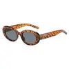Gafas de sol ojo de gato para mujer, moda retro, gafas de sol para fotografía callejera, montura redonda moderna coreana, para cara grande, adelgazantes, montura pequeña europea y americana, gafas ojo de gato