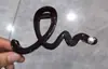 Presilha de Cabelo com Toque de Luxo, Presilha Grande de Tubarão para a Parte de Trás da Cabeça, Grampo de Cabelo com Laço para Penteados Presos, Adequado para Cabelos Grossos