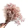 Buquê de Gipsofila Seca Preservada Flores Secas Brancas Flores Reais Secas ao Ar Flores Grandes Decoração de Sala de Estar Arranjo de Flores Flores para Fotografia de Casamento