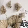 Exportações do Fabricante Transfronteiriças Estilo Natural Grande Juncos Casamento Europeu e Americano Nórdico Fotografia Flores Secas Capim-Raposa Buquê Seco ao Ar