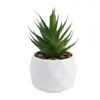 Set de Suculentas Simuladas Plantas Verdes Pequeños Bonsáis Flores Artificiales Transfronterizas Decoración del Hogar Adornos de Escritorio Plantas de Plástico Flores Artificiales