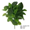 Diretamente do Fabricante, Folhas Simuladas Laminadas, Folhas de Taro, Acessórios de Parede para Plantas Pothos, Floreiras de Divisória, Decorações com Plantas em Vasos