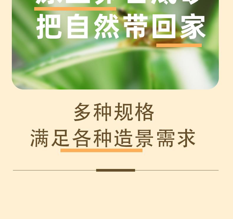 砂石模板_03.jpg