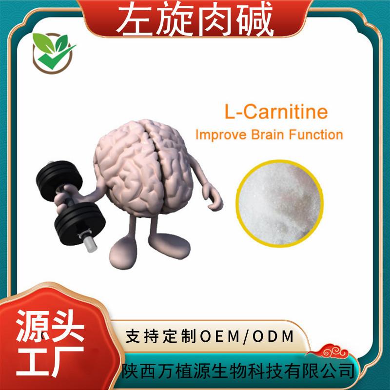 左旋肉碱