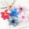 Cabezas de Flores de Orquídea Simuladas Guirnaldas de Flores DIY Pared de Flores Materiales para Arreglos Florales Decoración del Hogar Flores Artificiales Decoración de Bodas Flores Decorativas