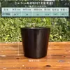Musgo esfagno transparente para orquídeas maceta especial para Phalaenopsis plástico transpirable maceta para cultivo en caliente maceta para Dendrobium control de raíz Qingshan maceta para ver raíces