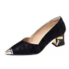 Sapatos de Salto Alto para Mulheres 2026 Primavera e Outono Novo Estilo Retrô Francês com Bico Metálico, Boca Rasa, Estilo Elegante para o Dia a Dia, Salto Grosso, Bico Fino Sapatos de Salto Único