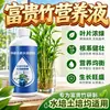 Solução Nutricional Especial para Hidroponia de Bambu da Sorte para Tratar Folhas Amarelas Promover Enraizamento Bambu de Transporte Bambu Guanyin Fertilizante Geral para Plantas em Vasos em Casa