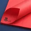 2025 Año del Serpiente Estilo Chino Papel Recortado Papel de Ventana Bolsa de Bricolaje Jardín de Infancia Estudiantes de Primaria Año Nuevo Festival de Primavera Divertido Papel Recortado