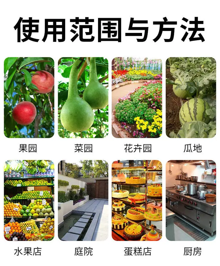 详情10.jpg