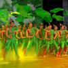 Performance do Dia Nacional Props de Dança Folha de Lótus Sombra de Lótus Brisa Suave Dança de Acompanhamento de Palco Decoração de Cena Real de Lótus Flor de Seda Flor Artificial Folha Verde