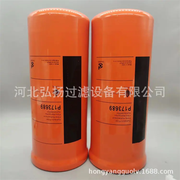 P173689 (4)
