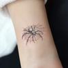 Tatuaje semipermanente de araña moteada, a base de hierbas, telaraña, tatuaje artificial, resistente al agua, de larga duración, para brazo y dorso de mano.