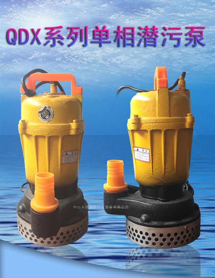 QDX_01.jpg