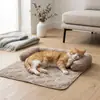 Cama para gato para todas as estações, sofá de verão, almofada de dormir anti-riscos, cama antiderrapante para cachorro pequeno, suprimentos para animais de estimação