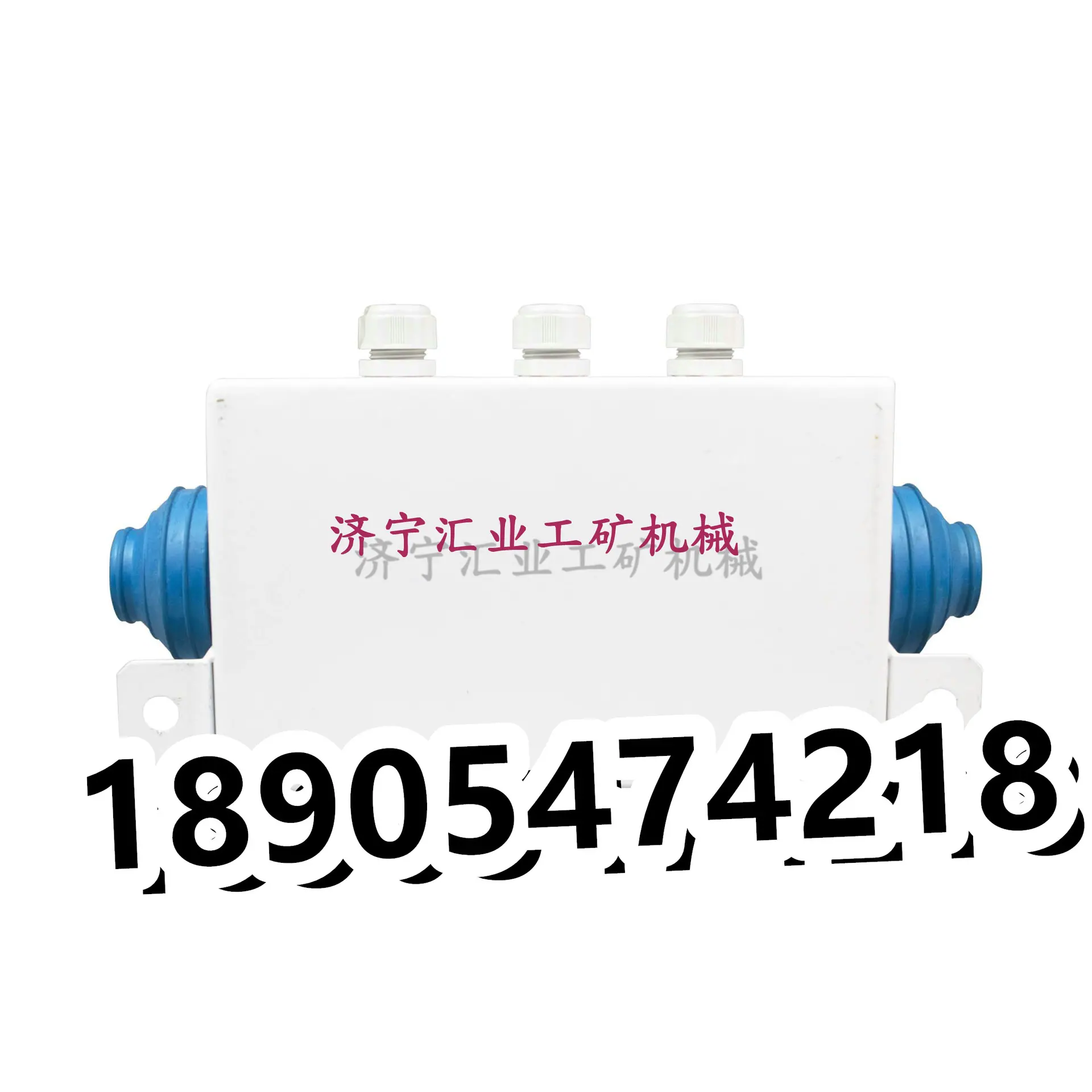 白底图5