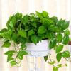 Vaso de Flores Olinze 360 Rosa Verde Planta Combinação Criativa Padrão Estilo Chinês Plástico Branco Vaso de Flores Preguiçoso
