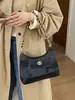 Bolso Pequeño de Cadena de Moda Transfronterizo para Mujer 2026 Nueva Moda Retro Bolso de Hombro Debajo del Brazo Bolso Cruzado Popular de Otoño e Invierno