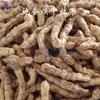 Secador de gusanos de seda terrestres Air Energy con circulación de aire caliente, caja de secado de gusanos de seda terrestres, equipo de secado con bomba de calor para hierbas Cordyceps
