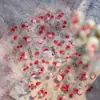 Tomoni Jelly Changan Lichi Pegatinas para Uñas Color Hombre Hielo Transparente Estilo Hada Material Fruta