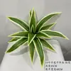 Planta Táctil Real Hoja de Calathea Caparazón de Tortuga Hotel Restaurante Exhibición Paisaje de Palmera Decoración de Pared Verde