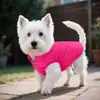 Chaqueta de invierno a prueba de viento para perro, impermeable para perro, chaleco cálido para perro, ropa para mascotas para clima frío
