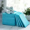 Tapetes Higiênicos para Cães, Tapetes Higiênicos Espessos Desodorizantes para Pets, Fraldas Absorventes Descartáveis, Protetores de Barreira de Urina
