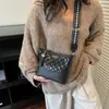 Bolso Pequeño Acolchado con Cadena de Otoño de Nicho para Mujer con Combinación de Colores 2025 Nuevo Bolso Hobo de Alto Valor para Hombro Cruzado