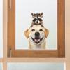 Fun-f440 - Lindo cachorro golden retriever, mapache, balcón, ventana de vidrio, fondo, embellecimiento, pegatinas decorativas para ventanas, venta al por mayor