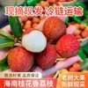 2026 LICHÍAS FRESCOS AGORA DISPONÍVEIS Aroma de Osmanthus Colhido Lichias de Hainan Fruta Grande de Árvore Velha Frete Aéreo Caixa de Presente Dropshipping