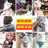 Correa para Gato, Arnés para Gato, Correa para Perro, Gatito Pequeño, Gato Joven, Suministros para Mascotas Perro Pequeño, Collar, Arnés