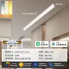 Luminária de Teto Longa Minimalista de Sobrepor para Sala de Estar, Corredor Criativo, Corredor, Varanda Ensolarada e Varanda - Modelo Novo 2026