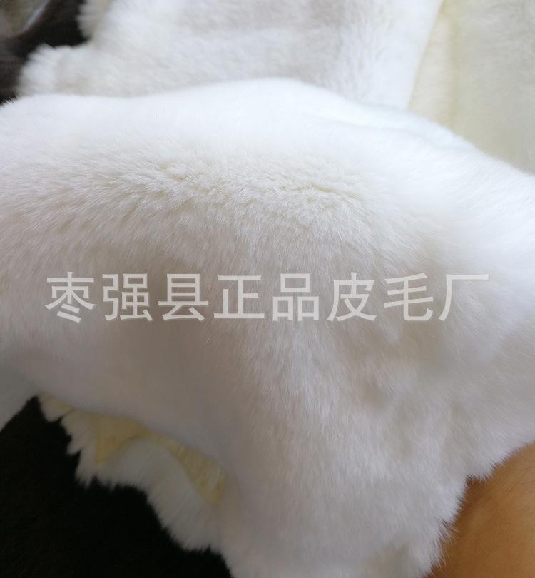 IMG_20180628_112014.jpg