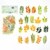 Poesía de Azúcar Planta Hoja Serie Naturaleza "Una Hoja Conoce el Otoño" Paquete de Pegatinas Material para Diario INS 40 Piezas 6 Diseños