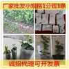 Bañera de Guardería Bolsa de Guardería Bolsa de Guardería Contenedor Engrosado Desechable No Tejido Taza Envío Gratis 100 Gran Cantidad Envío Gratis