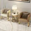 Sillón individual, acero inoxidable color dorado de lujo ligero, moderno minimalista para sala de estar, recepción de ocio y silla de reunión